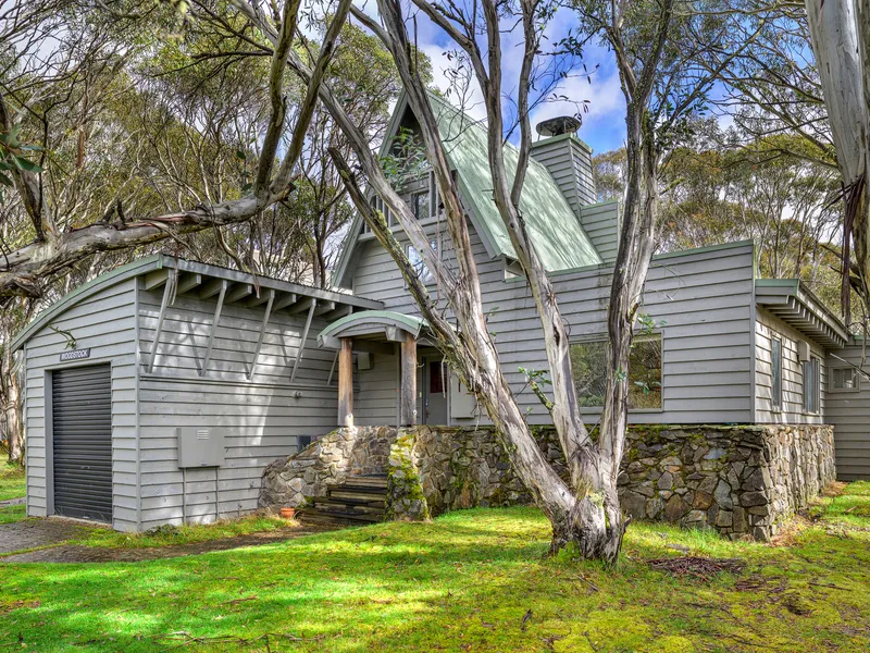 ALPINE CHALET ARCHITECTURE