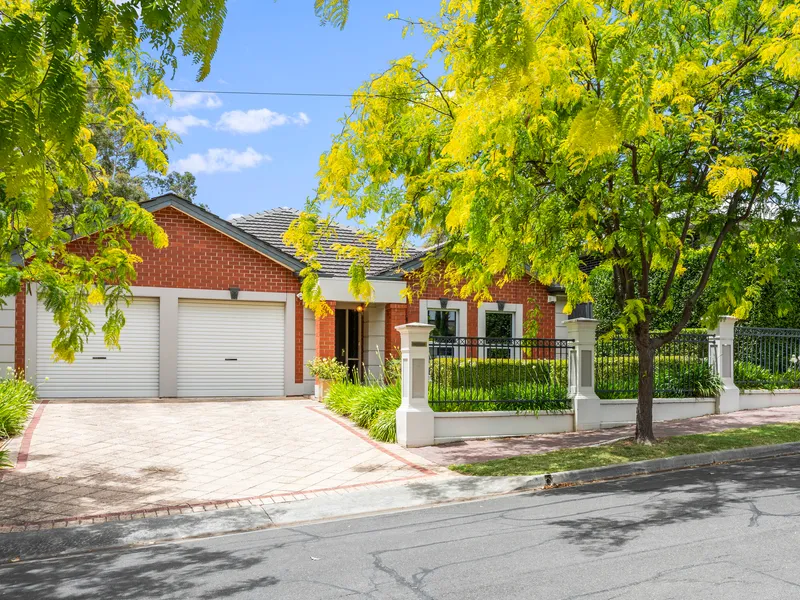 Modern and stylish living in this beautiful leafy location.