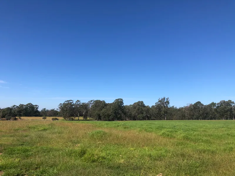 Duplex Site (S.T.C.A)