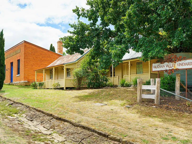 Vaughan Valley Vineyard