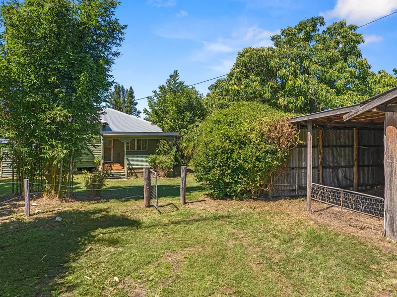 INSTANT APPEAL WITH FUTURE PROMISE