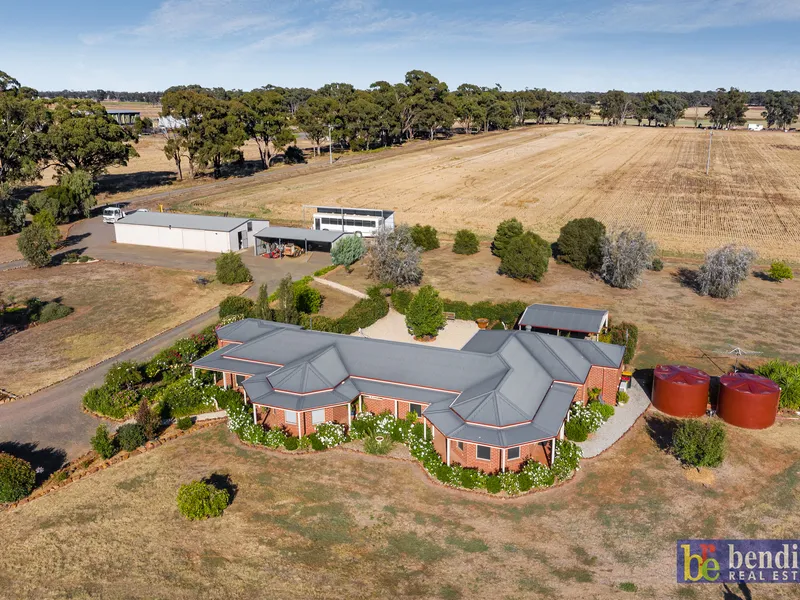 Options are Endless with Meadowview