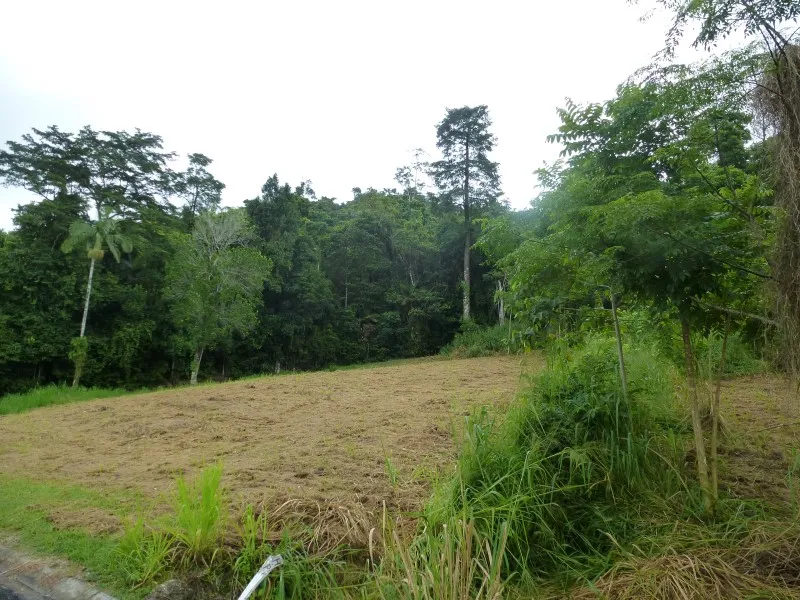 OVER HALF AN ACRE = 2034m2 Views