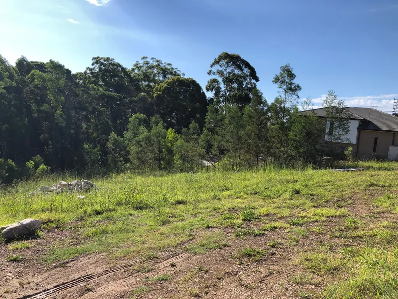 Lot 156 | Registered