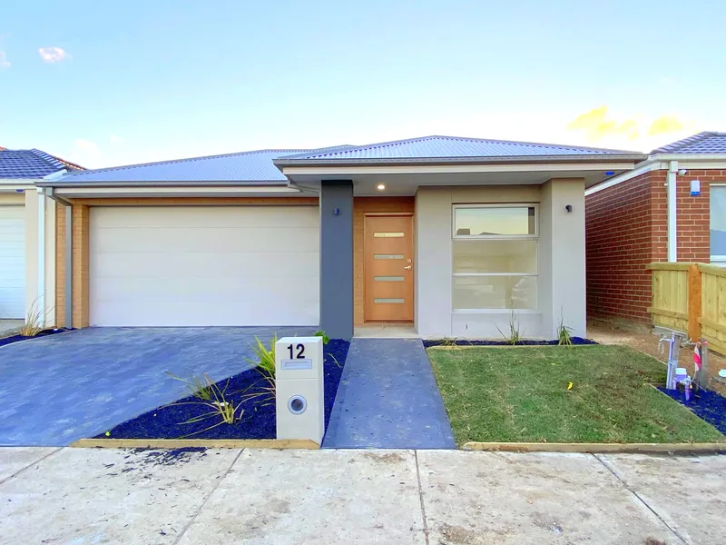 Brand New, Bold & Beautiful