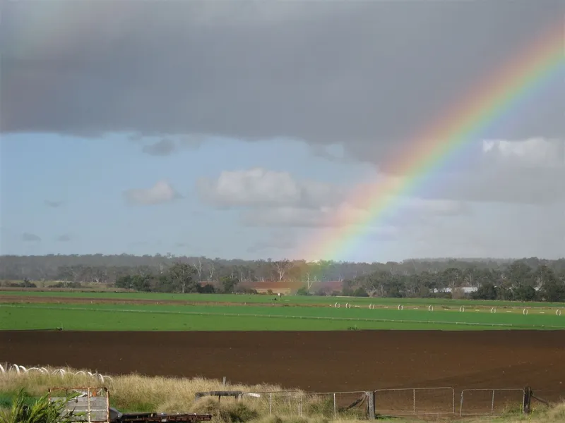 Productive Irrigation Farm & Hay Business
