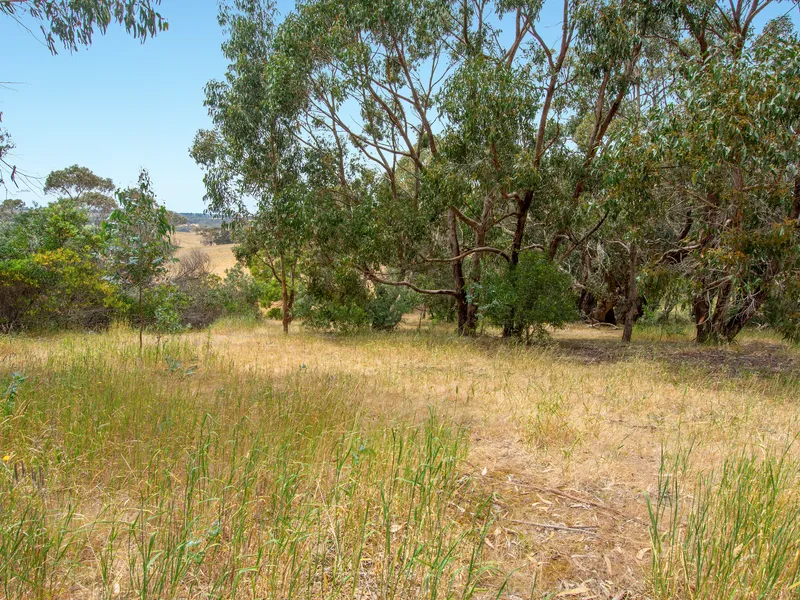 Tranquil Living & Seclusion Awaits