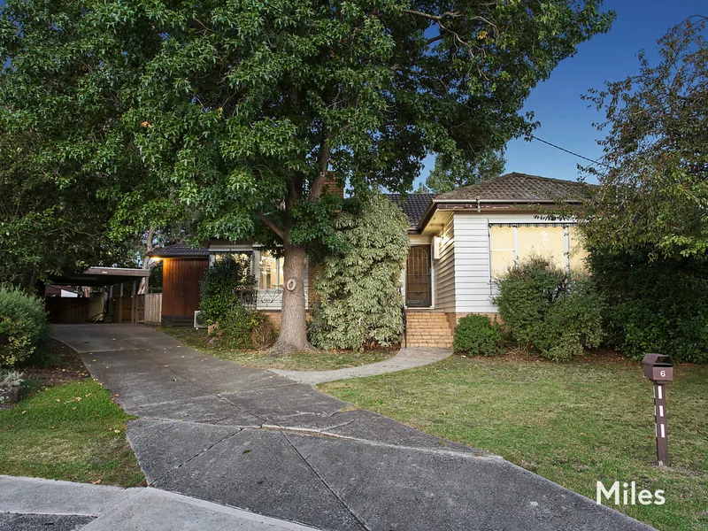 Field Of Dreams On 1175m2 approx.