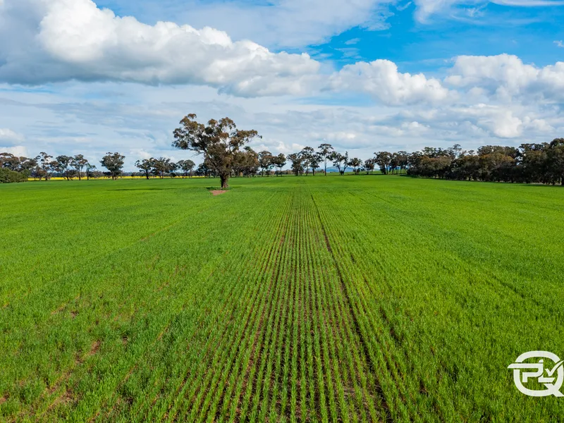 Dudleigh aggregation: 'Dudleigh' 2612 acres & 'Hillview' 187 acres