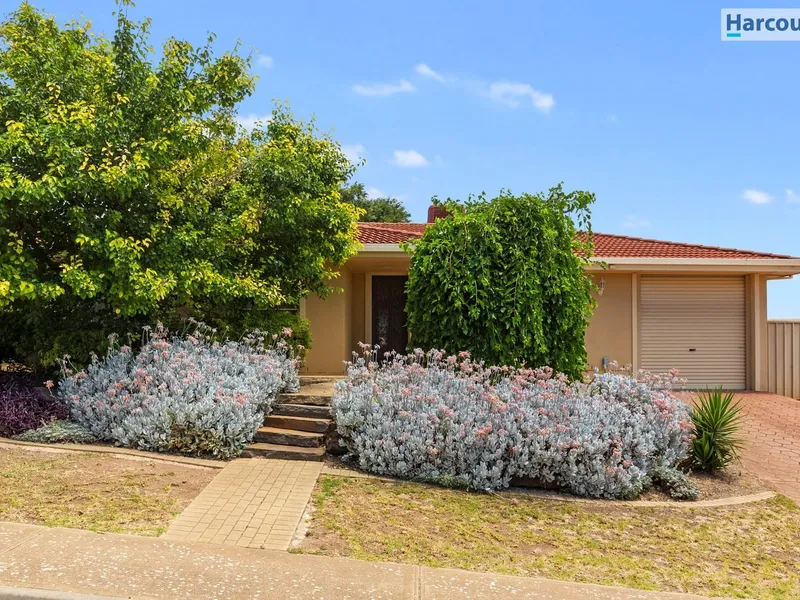 Spacious family home with large backyard!