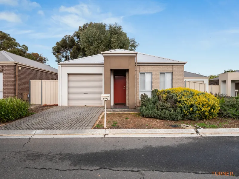 Super Starter or Investment Opportunity