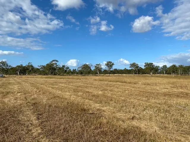 47 ACRES BACKING ONTO THE BREMER RIVER