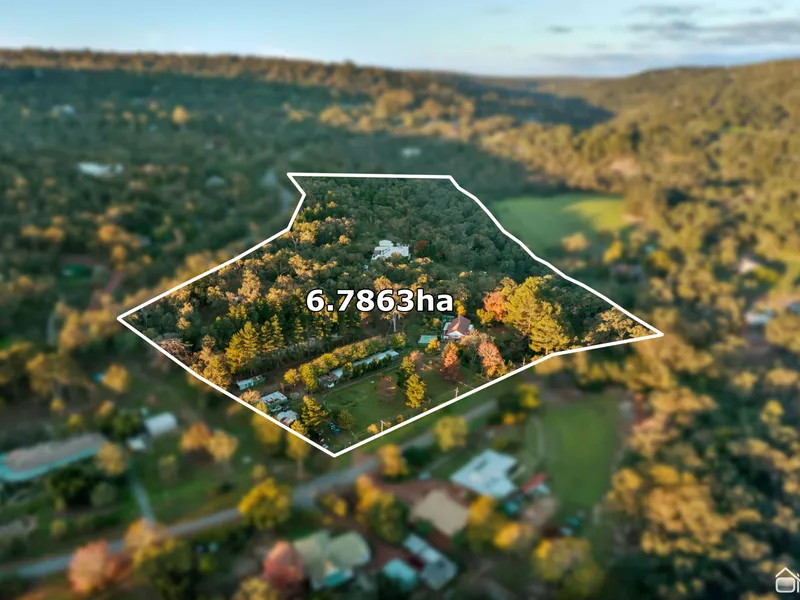 THE MOST EXTRAORDINARY OPPORTUNITY