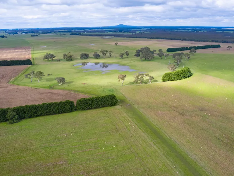 “CHROME PARK” - VERSATILE HIGH RAINFALL COUNTRY