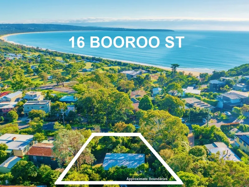 Hidden Beachside Gem