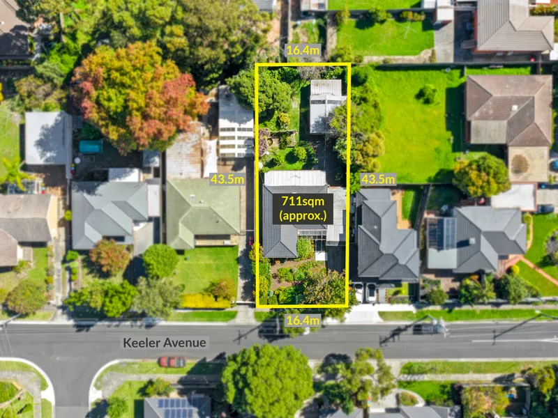 The opportunities are endless!