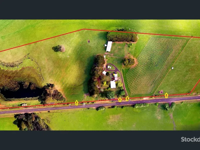 Country Lifestyle Living with Immediate Income Opportunity