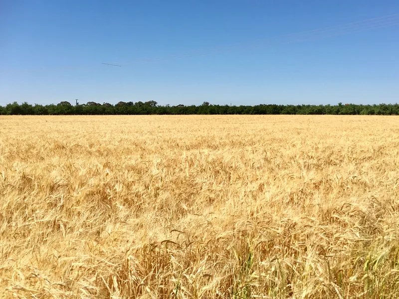 10 ACRE ALLOTMENT !!