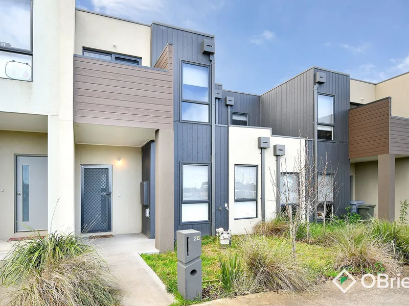 MODERN LOW MAINTENANCE LIVING