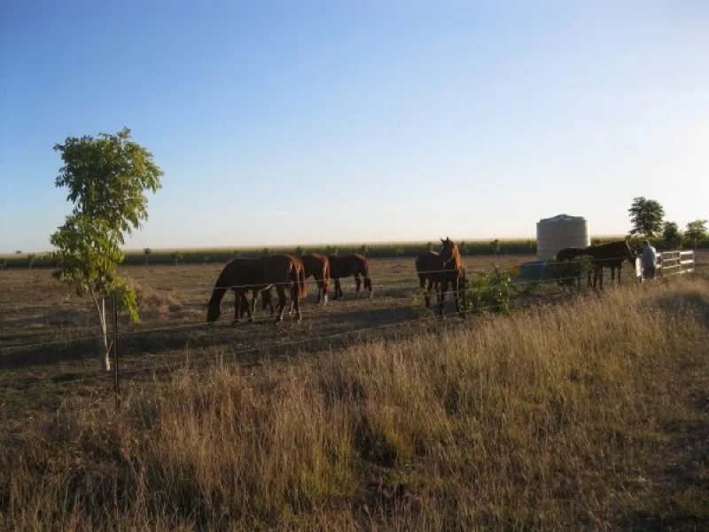 VACANT RURAL 8 ACRE BLOCK