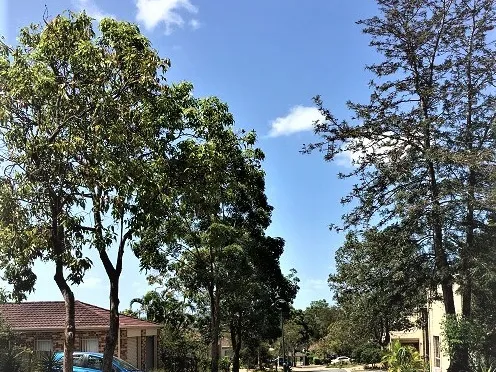 Great invest opportunity cann't miss!!!