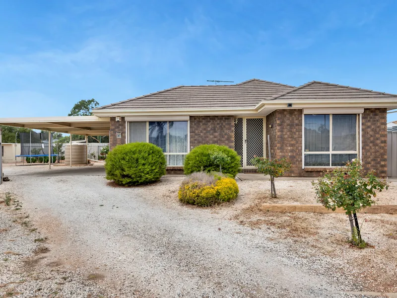 FABULOUS OFFER TO ENTER THE MARKET PLACE!