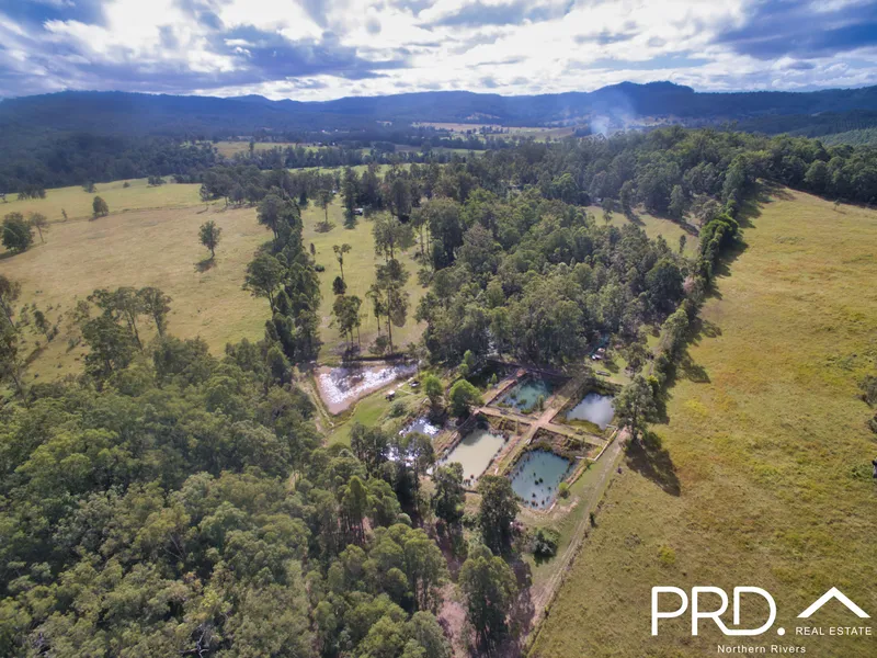 17 Acre Hobby Farm
