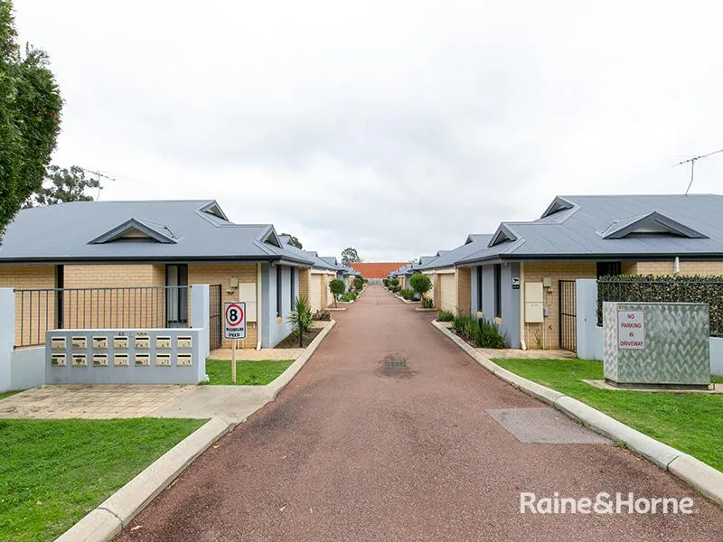 ALL YOU COULD ASK FOR !!!