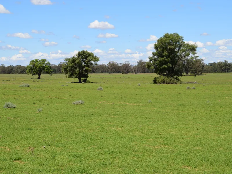 Affordable Grazing Property
