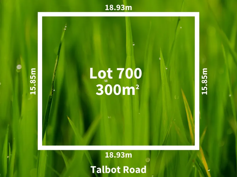 Ready, Set... Build!