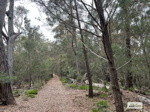 70 Acres of Pure Wilderness