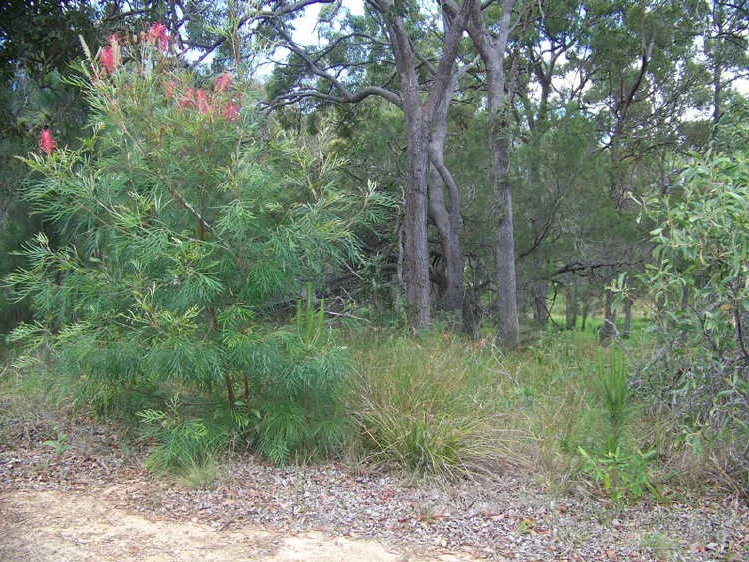 MIDDLE OF LAMB ISLAND ON QUIET CUL-DA-SAC