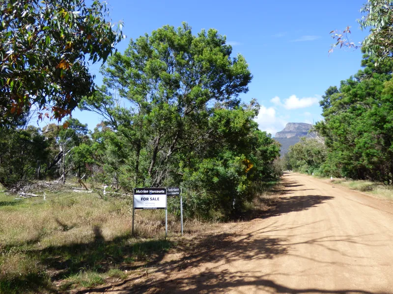 Stunning Bush Location