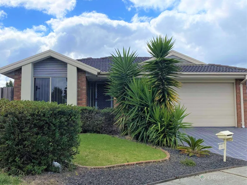 Perfectly Positioned 3 Bedroom + Study Home!