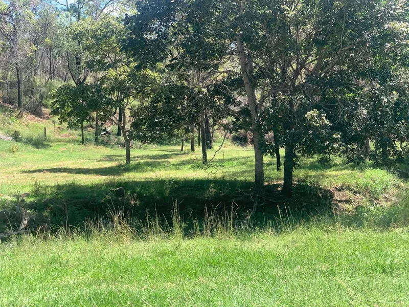 Opportunity Aplenty - Black Duck Creek