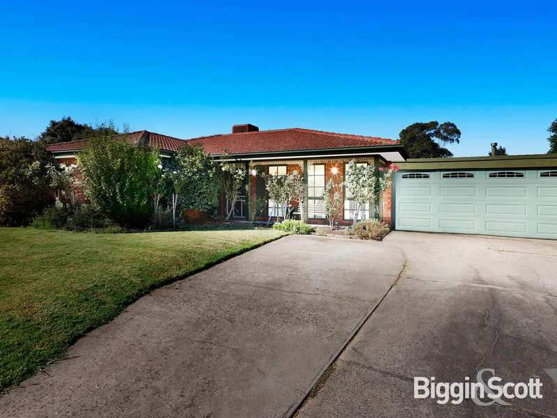 FAMILY ENTERTAINER IN A QUIET COURT SETTING!