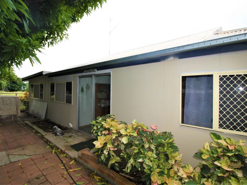 Horse Handling facilities in Town  