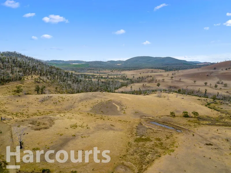Rare 100 Acres of Land - Embrace Your Private Lifestyle