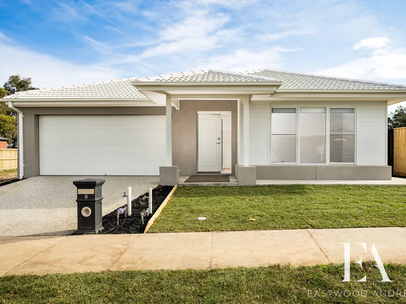 Brand new and ready to go