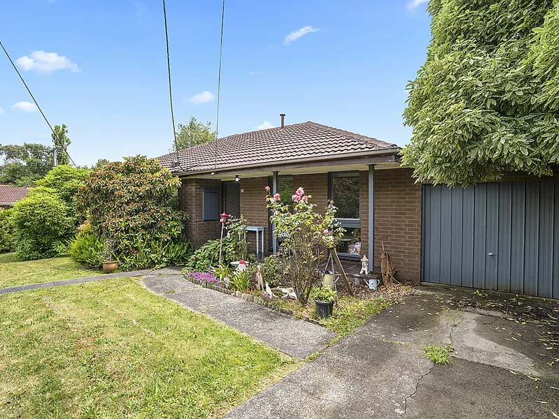 Coveted corner entertainer