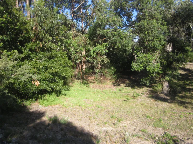 Nice Shade Trees & Views To Lake Reeve & The Victorian Alps!
