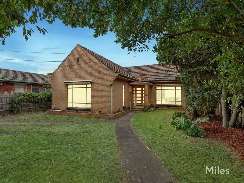 Prized Potential Where The Sky's The Limit