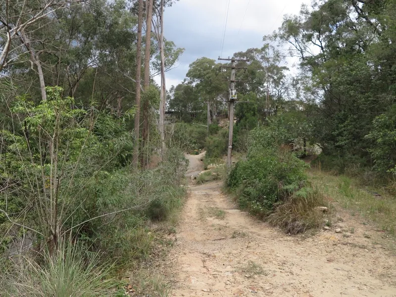 HILLSIDE BUSH BLOCK AT GUNDERMAN