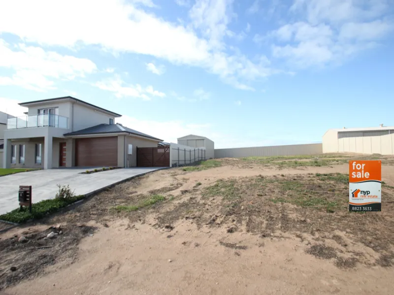 STOP, LOOK, WALK, SEE