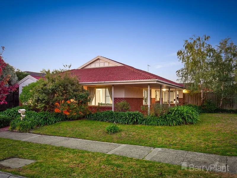 Your New DOMAIN Awaits!!