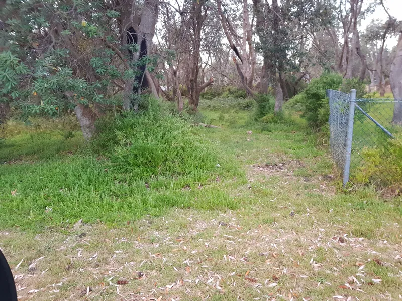 Lovely Flat 1200M2  Block, Walking Distance To Everything.