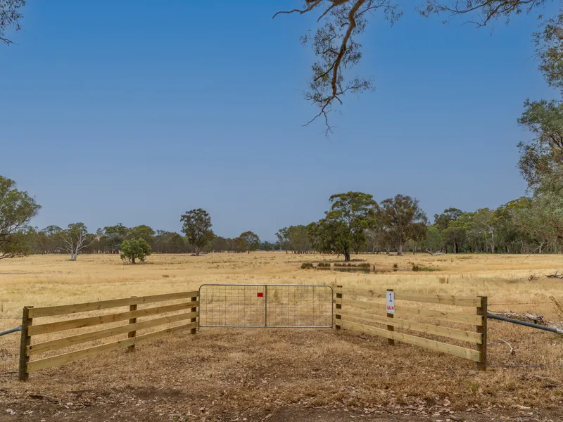 Vacant Land - 54 Acres