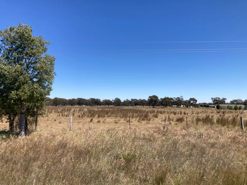 Rare 11 Acre Building Block