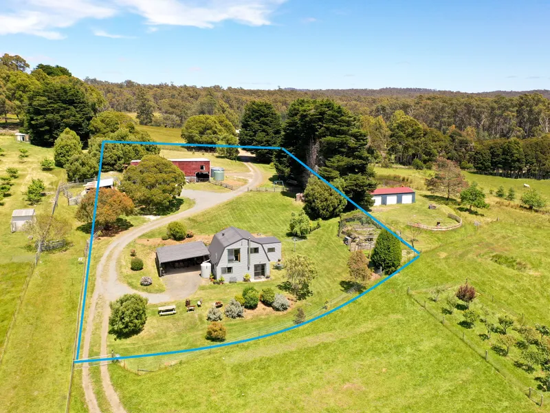 Productive Pipers River Farmlet