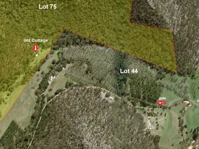 117 Acres Upper MacDonald - Lot 75